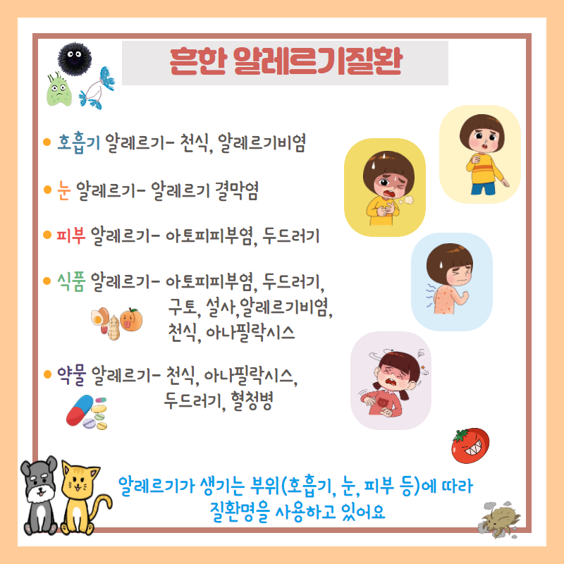 갤러리